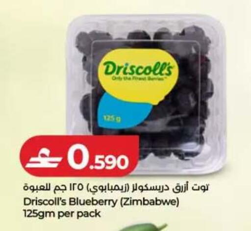 Blueberry BlueBerry from Zimbabwe available at لولو هايبر ماركت in عُمان - صلالة