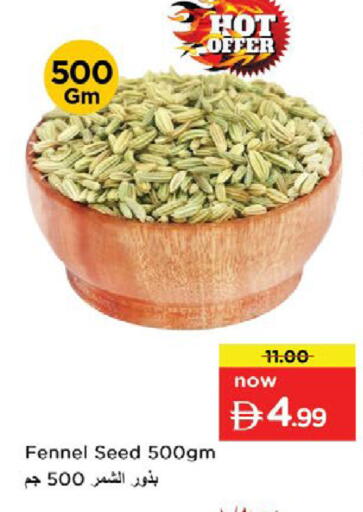 Fennel available at نستو هايبرماركت in الإمارات العربية المتحدة , الامارات - أم القيوين‎