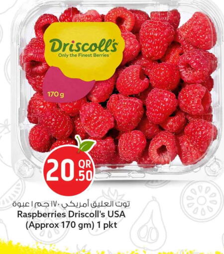 available at Safari Hypermarket in Qatar - Al Daayen