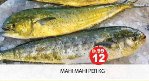 available at Zain Mart Supermarket in UAE - Ras al Khaimah