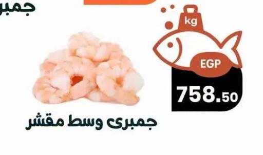 available at Arafa  in Egypt - Cairo