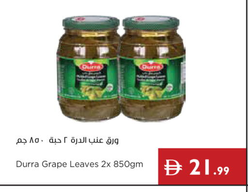 available at إسطنبول سوبرماركت in الإمارات العربية المتحدة , الامارات - أبو ظبي