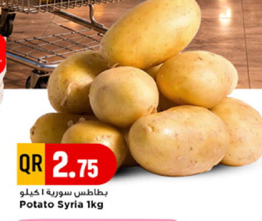 Potato from Syria available at مرزا هايبرماركت in قطر - أم صلال