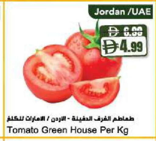 Tomato from Jordan available at Almaya Supermarkets in UAE - Abu Dhabi