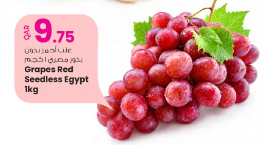 Grapes from Egypt available at أنصار جاليري in قطر - الضعاين