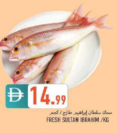 available at  روابي ماركت عجمان in الإمارات العربية المتحدة , الامارات - الشارقة / عجمان