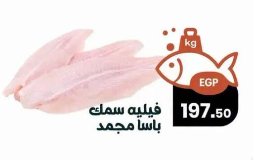 available at Arafa  in Egypt - Cairo