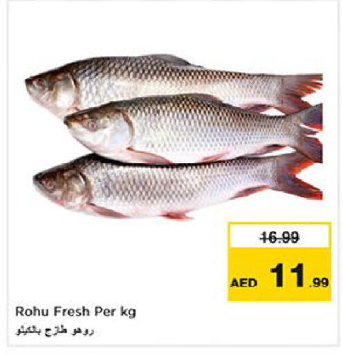 available at نستو هايبرماركت in الإمارات العربية المتحدة , الامارات - أم القيوين‎