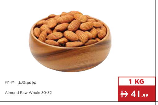 available at إسطنبول سوبرماركت in الإمارات العربية المتحدة , الامارات - أبو ظبي