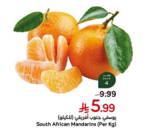 from South Africa available at Hyper Panda in KSA, Saudi Arabia, Saudi - Khamis Mushait