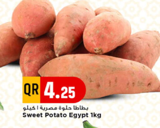 Sweet Potato from Egypt available at مرزا هايبرماركت in قطر - أم صلال