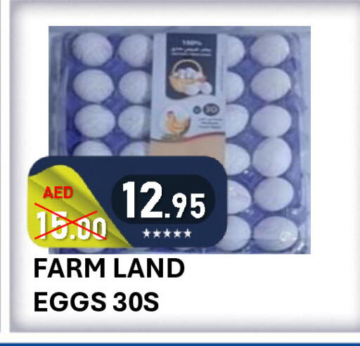 available at ROYAL GULF HYPERMARKET LLC in UAE - Abu Dhabi