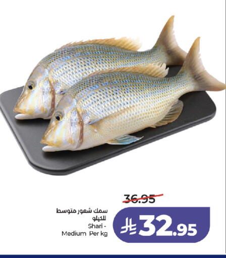 available at لولو هايبرماركت in مملكة العربية السعودية, السعودية, سعودية - جدة