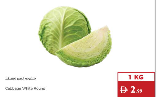 Cabbage available at Istanbul Supermarket in UAE - Dubai
