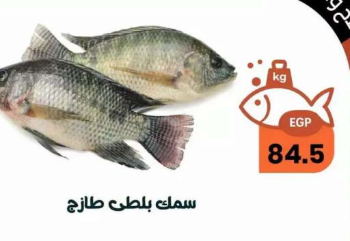 available at Arafa  in Egypt - Cairo
