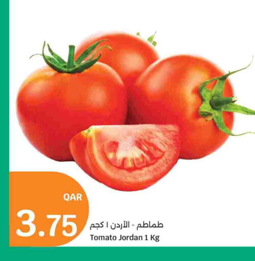 Tomato from Jordan available at سيتي هايبرماركت in قطر - الدوحة