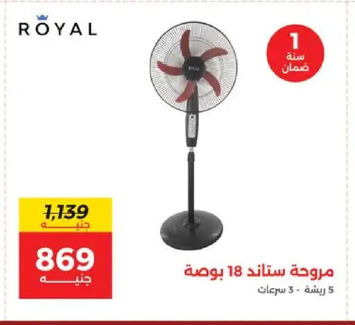 available at Raneen in Egypt - Cairo