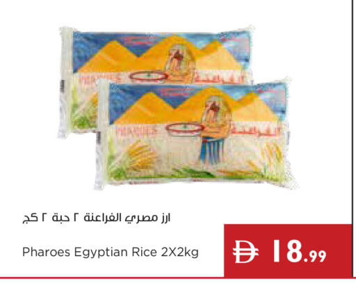 available at إسطنبول سوبرماركت in الإمارات العربية المتحدة , الامارات - أبو ظبي