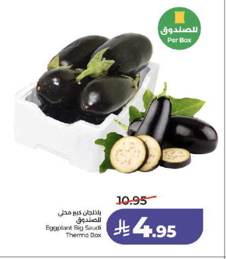 Eggplant from Saudi Arabia available at LULU Hypermarket in KSA, Saudi Arabia, Saudi - Jeddah