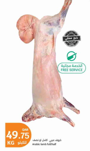 available at سيتي هايبرماركت in قطر - الضعاين