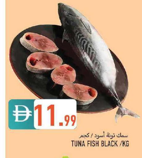 available at  روابي ماركت عجمان in الإمارات العربية المتحدة , الامارات - الشارقة / عجمان