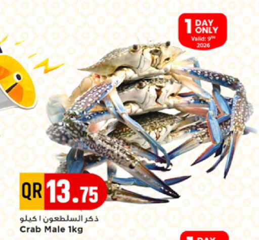 available at مرزا هايبرماركت in قطر - الشحانية