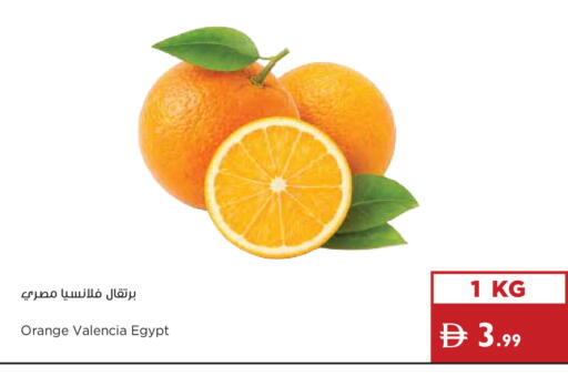 Orange from Egypt available at Istanbul Supermarket in UAE - Dubai
