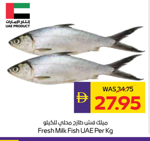 available at أدكووب in الإمارات العربية المتحدة , الامارات - أبو ظبي