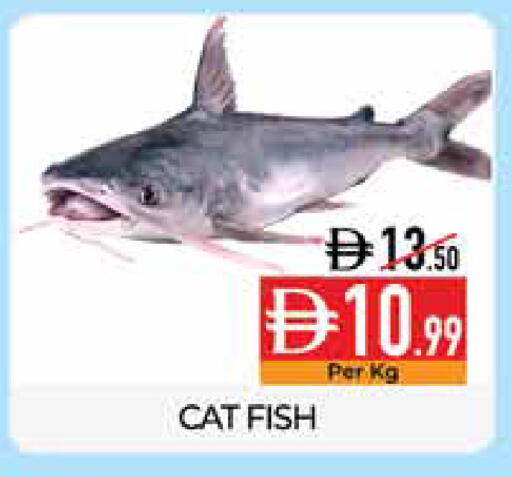available at ديلايس سوبرماركت in الإمارات العربية المتحدة , الامارات - أبو ظبي