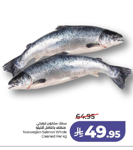 available at لولو هايبرماركت in مملكة العربية السعودية, السعودية, سعودية - جدة