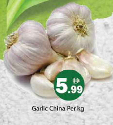 Garlic from China available at Gulf Hypermarket LLC in UAE - Ras al Khaimah