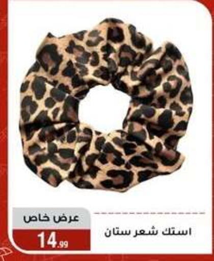 available at Al Morshedy  in Egypt - Cairo