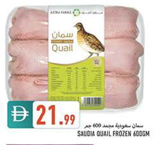 available at  روابي ماركت عجمان in الإمارات العربية المتحدة , الامارات - الشارقة / عجمان