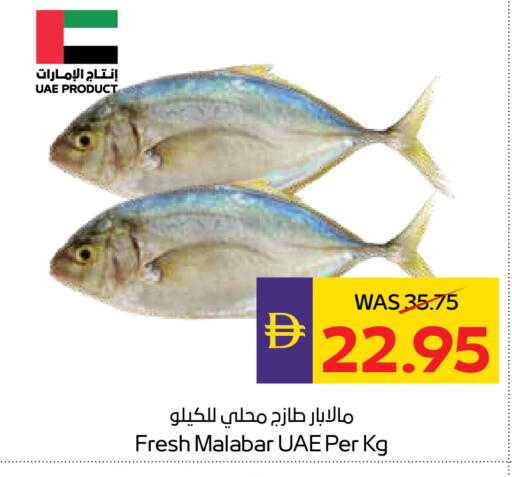 available at أدكووب in الإمارات العربية المتحدة , الامارات - أبو ظبي