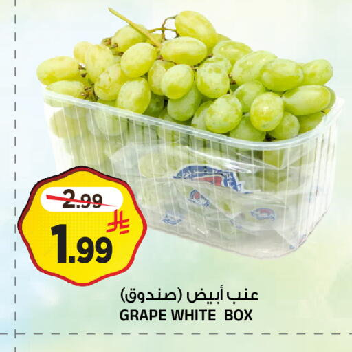 available at المدينة هايبرماركت in مملكة العربية السعودية, السعودية, سعودية - الرياض