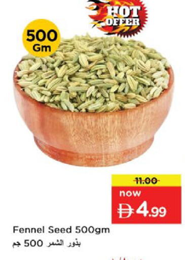 Fennel available at نستو هايبرماركت in الإمارات العربية المتحدة , الامارات - دبي