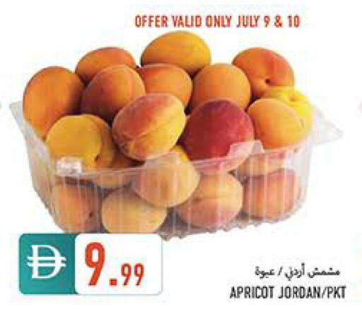 Apricot available at  روابي ماركت عجمان in الإمارات العربية المتحدة , الامارات - الشارقة / عجمان