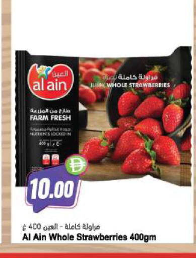 available at المايا سوبرماركت in الإمارات العربية المتحدة , الامارات - دبي