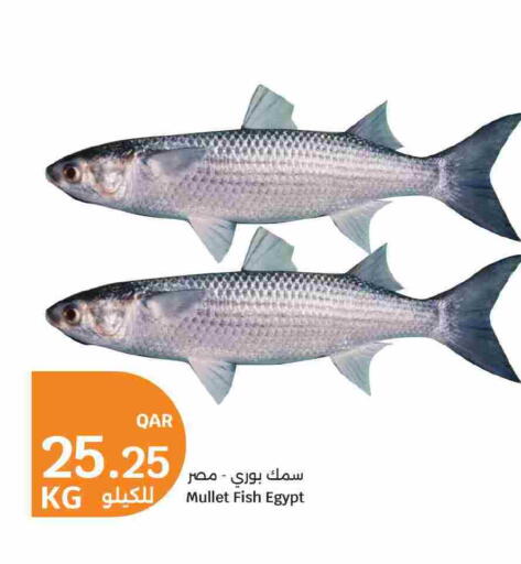 available at سيتي هايبرماركت in قطر - الدوحة