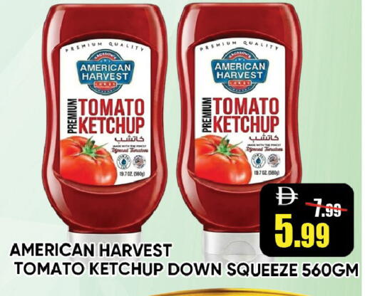 Tomato available at ليبتس هايبرماركت in الإمارات العربية المتحدة , الامارات - رَأْس ٱلْخَيْمَة
