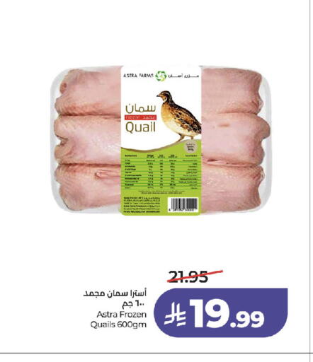 available at لولو هايبرماركت in مملكة العربية السعودية, السعودية, سعودية - جدة