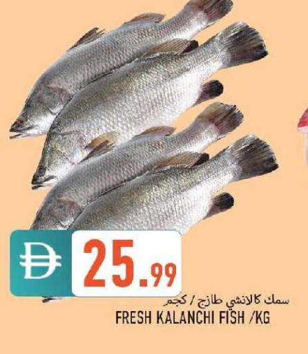 available at  روابي ماركت عجمان in الإمارات العربية المتحدة , الامارات - الشارقة / عجمان