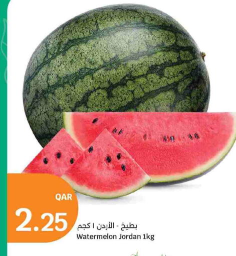 Watermelon from Jordan available at سيتي هايبرماركت in قطر - الضعاين