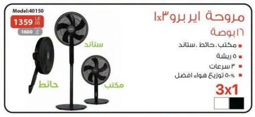available at Raneen in Egypt - Cairo