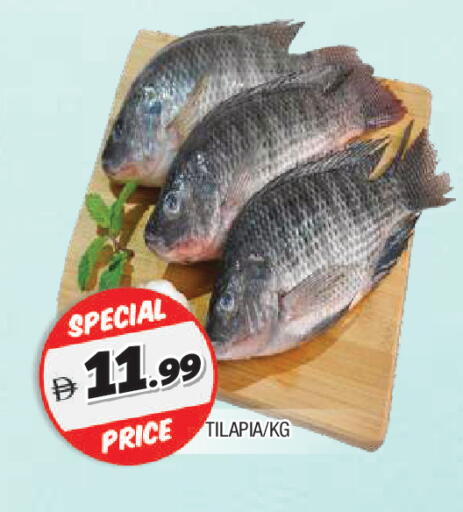 available at المدينة in الإمارات العربية المتحدة , الامارات - الشارقة / عجمان