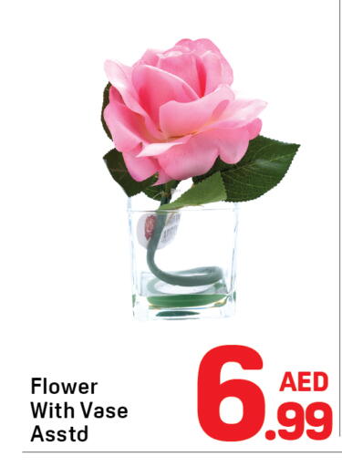 available at دي تو دي in الإمارات العربية المتحدة , الامارات - الشارقة / عجمان
