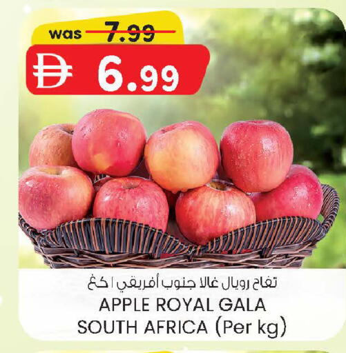 Apple from South Africa available at صفا اكسبريس سوبرماركت in الإمارات العربية المتحدة , الامارات - أبو ظبي