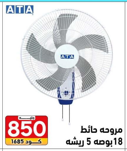 available at Center Elzelzal in Egypt - Cairo