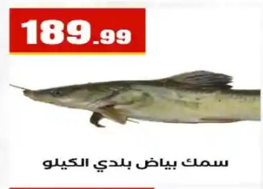available at مارت فيل in Egypt - القاهرة