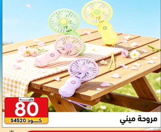 available at Center Elzelzal in Egypt - Cairo